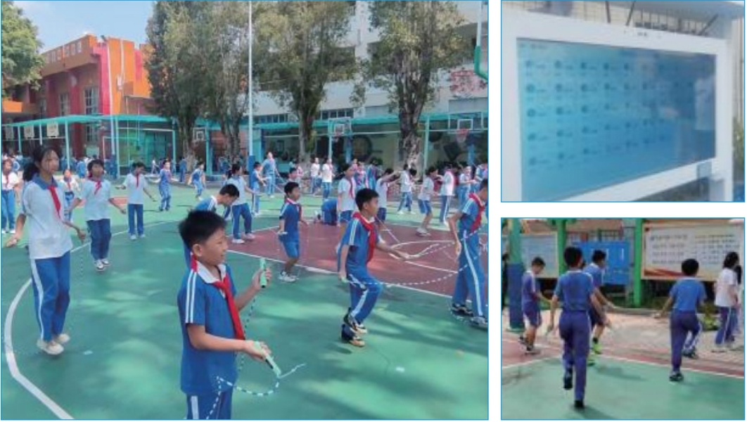 深圳龙岗区新生小学/龙西小学/可园学校